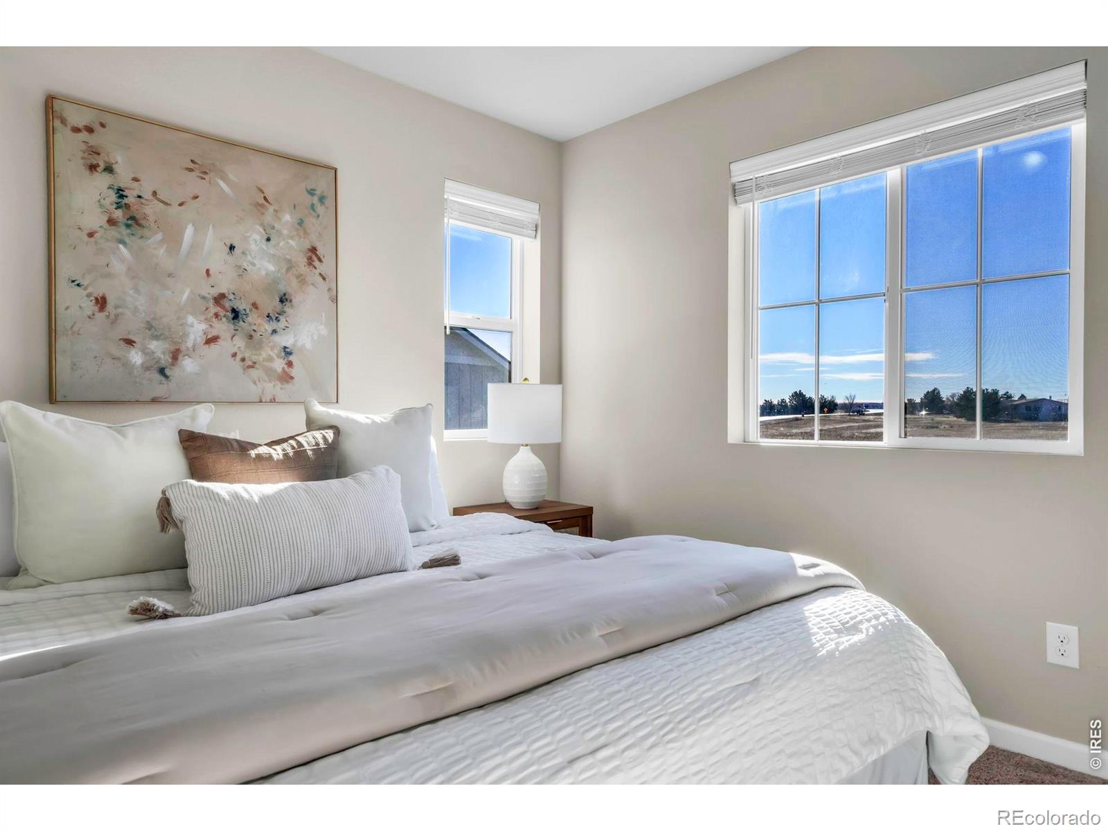 MLS Image #20 for 360  marlowe court,erie, Colorado