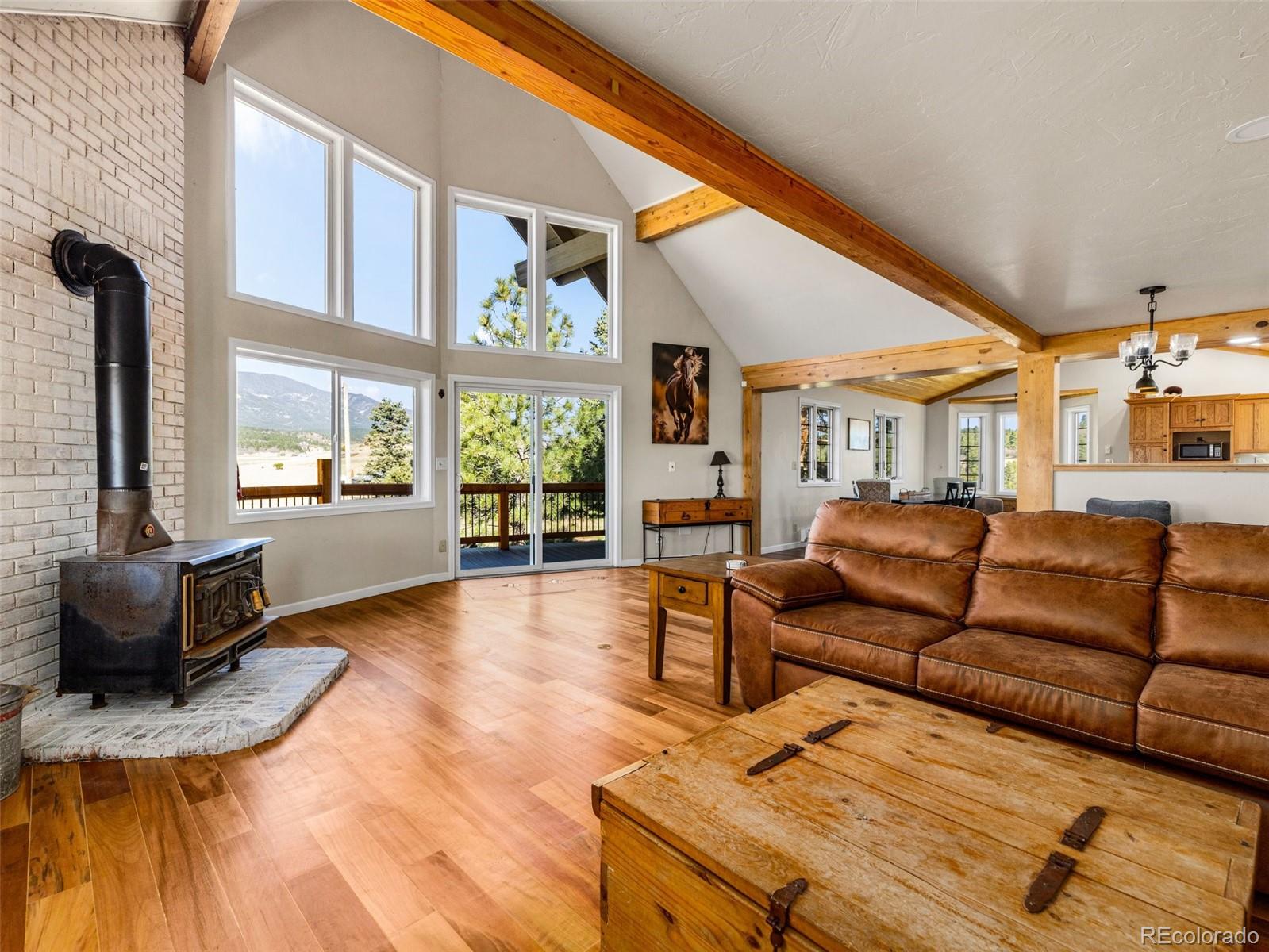 MLS Image #13 for 7941  mount baldy drive,rye, Colorado