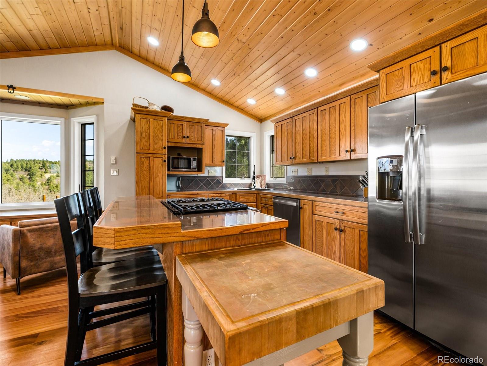 MLS Image #17 for 7941  mount baldy drive,rye, Colorado