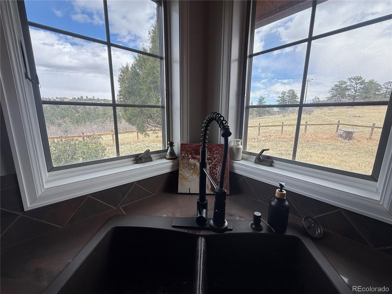 MLS Image #18 for 7941  mount baldy drive,rye, Colorado