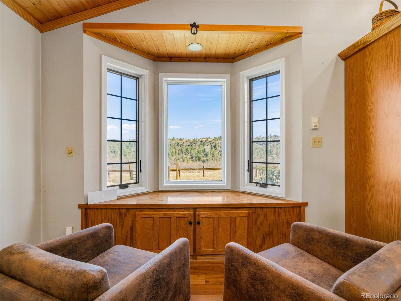 MLS Image #19 for 7941  mount baldy drive,rye, Colorado