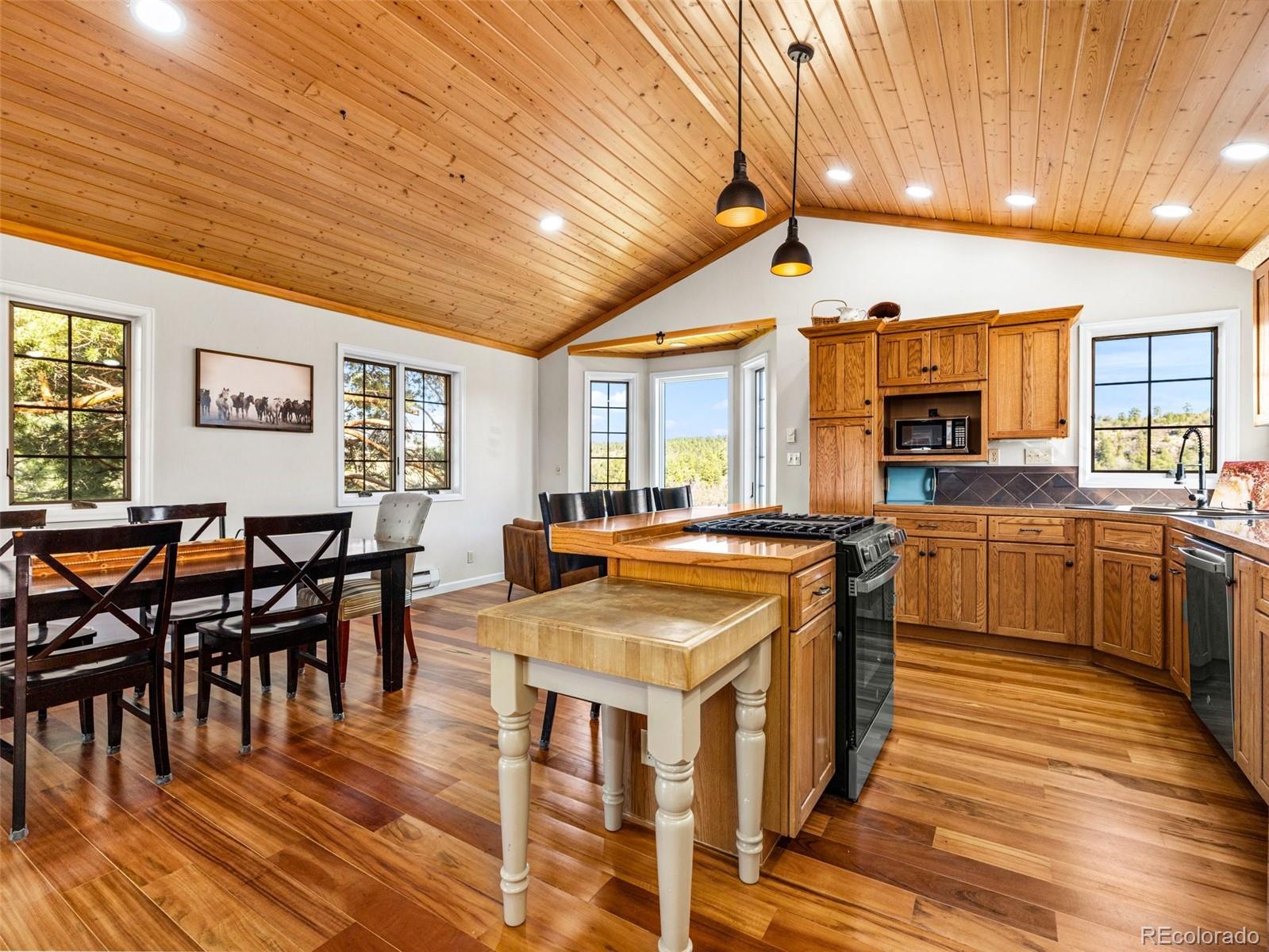 MLS Image #21 for 7941  mount baldy drive,rye, Colorado