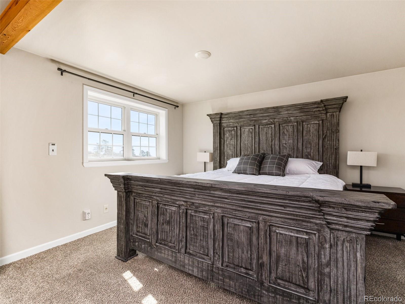 MLS Image #22 for 7941  mount baldy drive,rye, Colorado