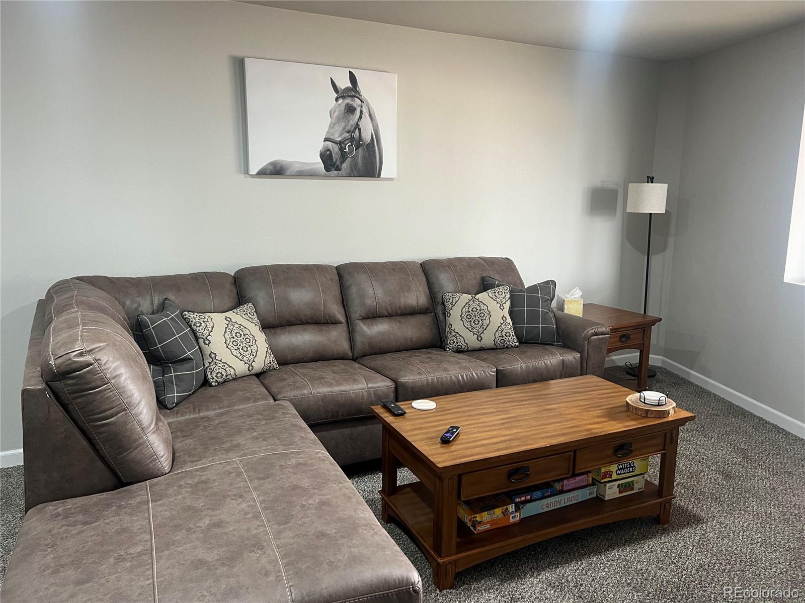 MLS Image #35 for 7941  mount baldy drive,rye, Colorado