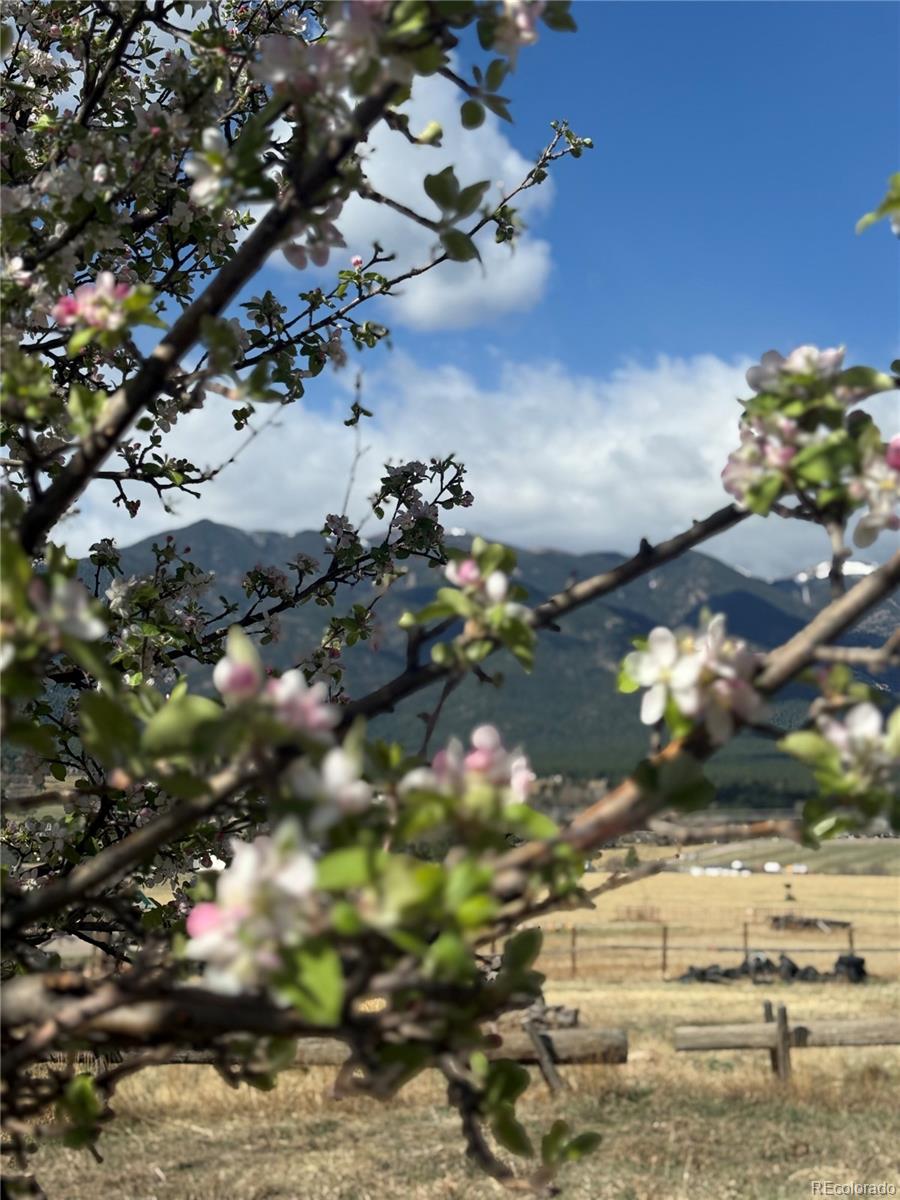 MLS Image #44 for 7941  mount baldy drive,rye, Colorado