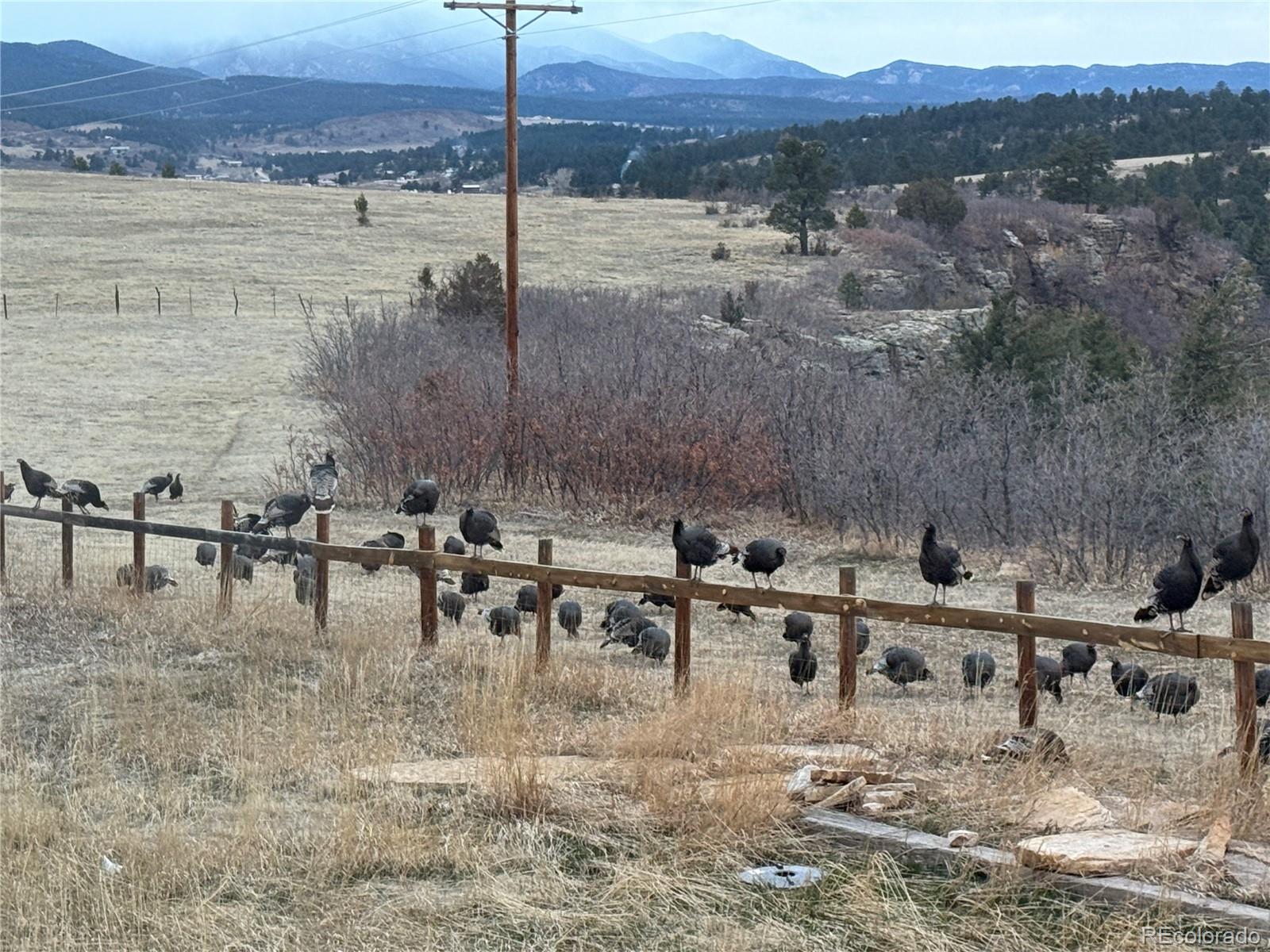 MLS Image #45 for 7941  mount baldy drive,rye, Colorado