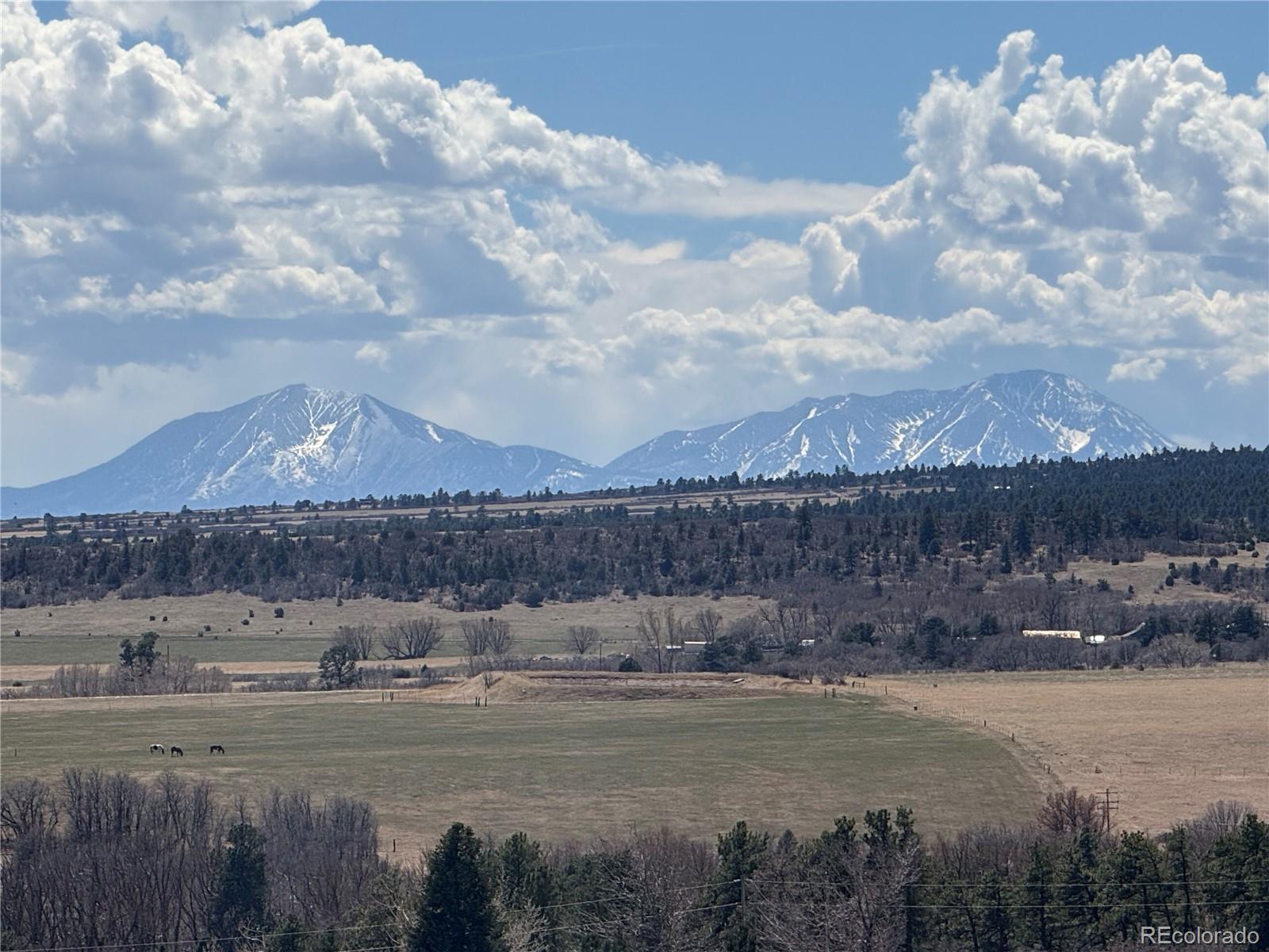 MLS Image #48 for 7941  mount baldy drive,rye, Colorado