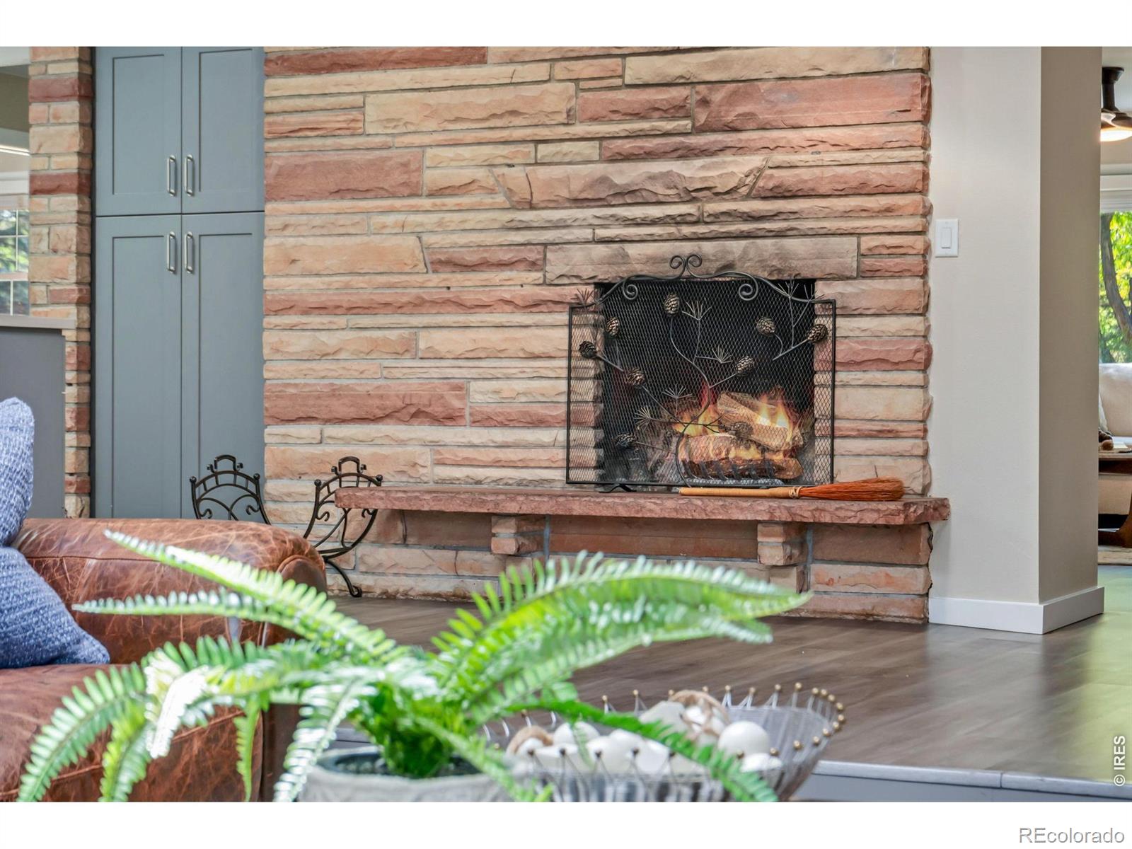 MLS Image #18 for 2224  vassar avenue,fort collins, Colorado