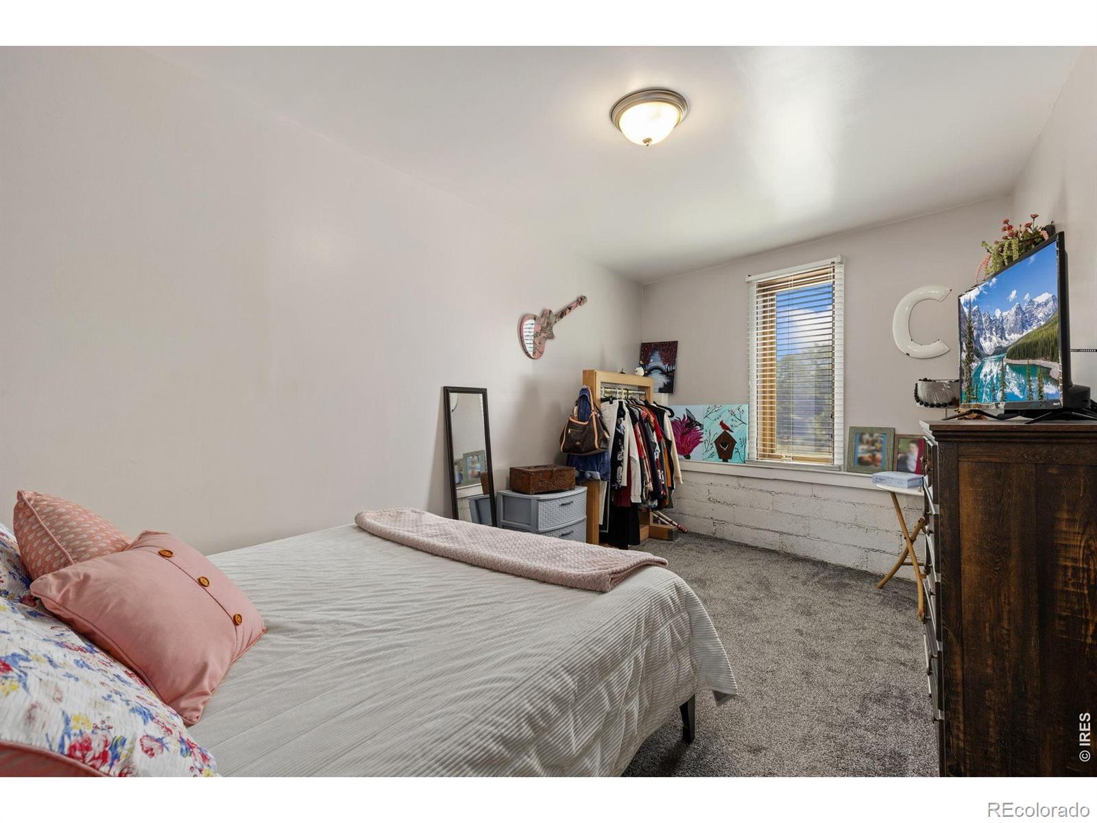 MLS Image #8 for 280 s main street,brighton, Colorado
