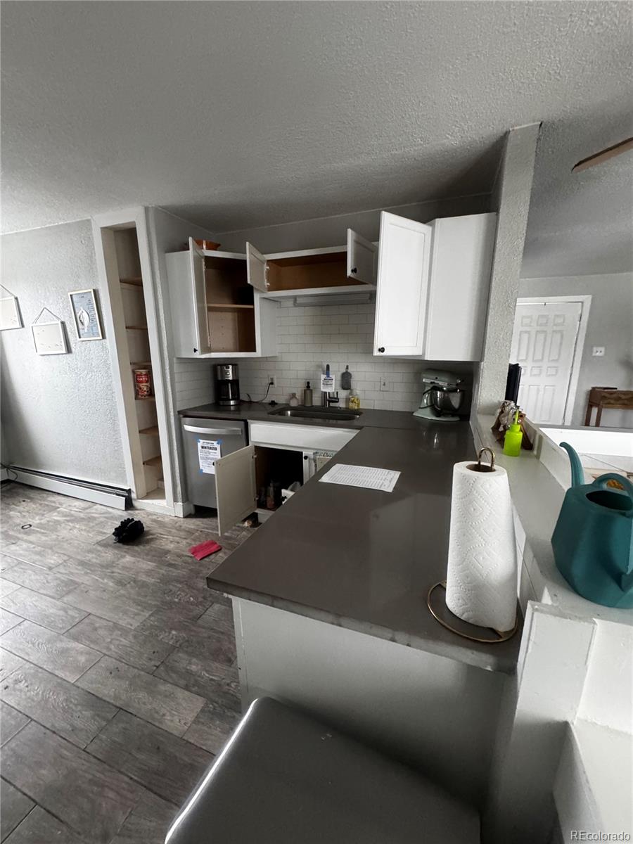 MLS Image #4 for 949 s pine drive,bailey, Colorado