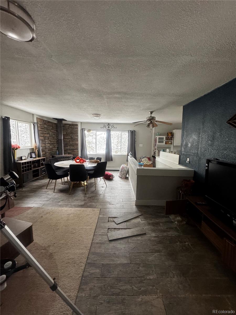 MLS Image #6 for 949 s pine drive,bailey, Colorado