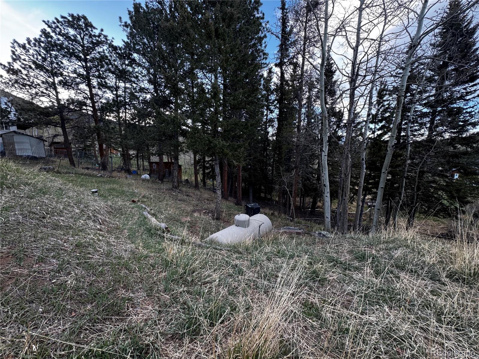 MLS Image #7 for 949 s pine drive,bailey, Colorado