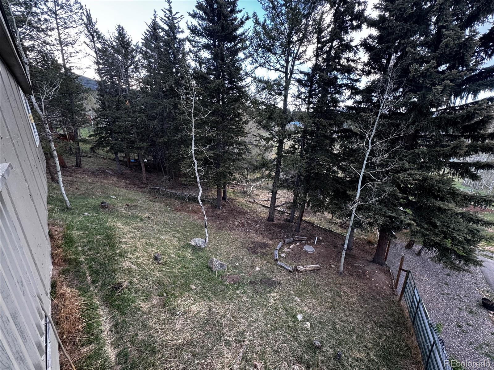 MLS Image #8 for 949 s pine drive,bailey, Colorado