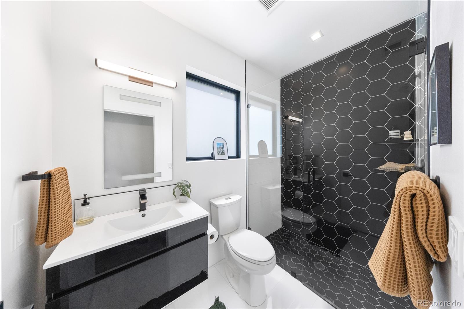 MLS Image #27 for 3645  lipan street,denver, Colorado