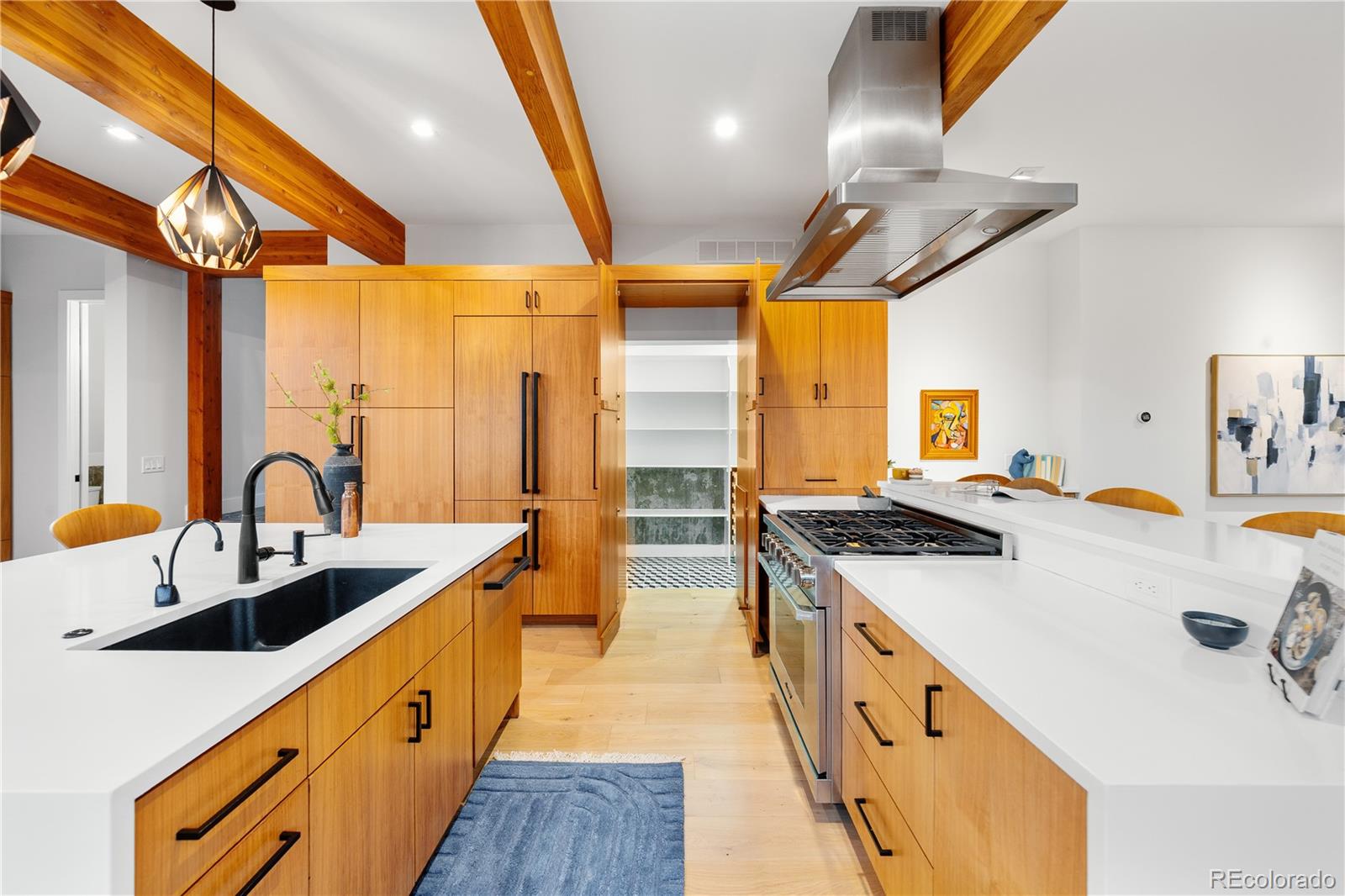MLS Image #3 for 3645  lipan street,denver, Colorado