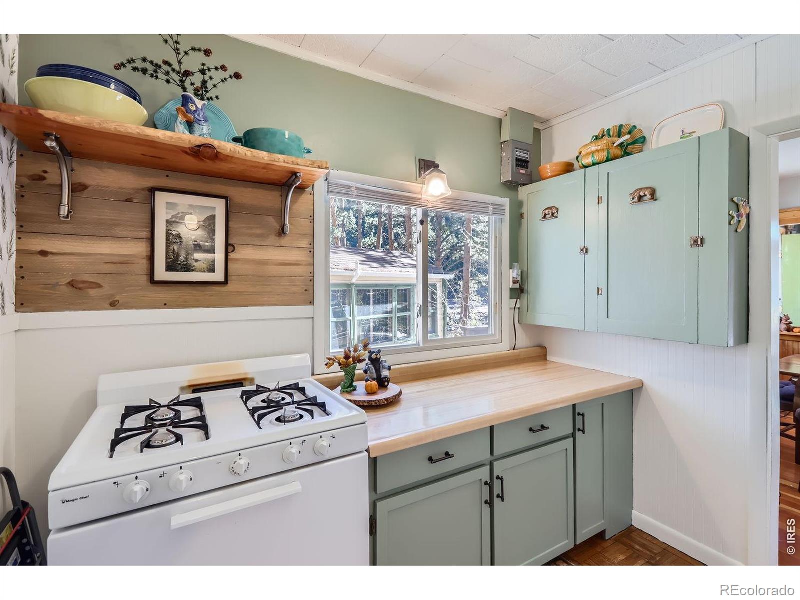 MLS Image #14 for 47  berthoud dale lane,drake, Colorado