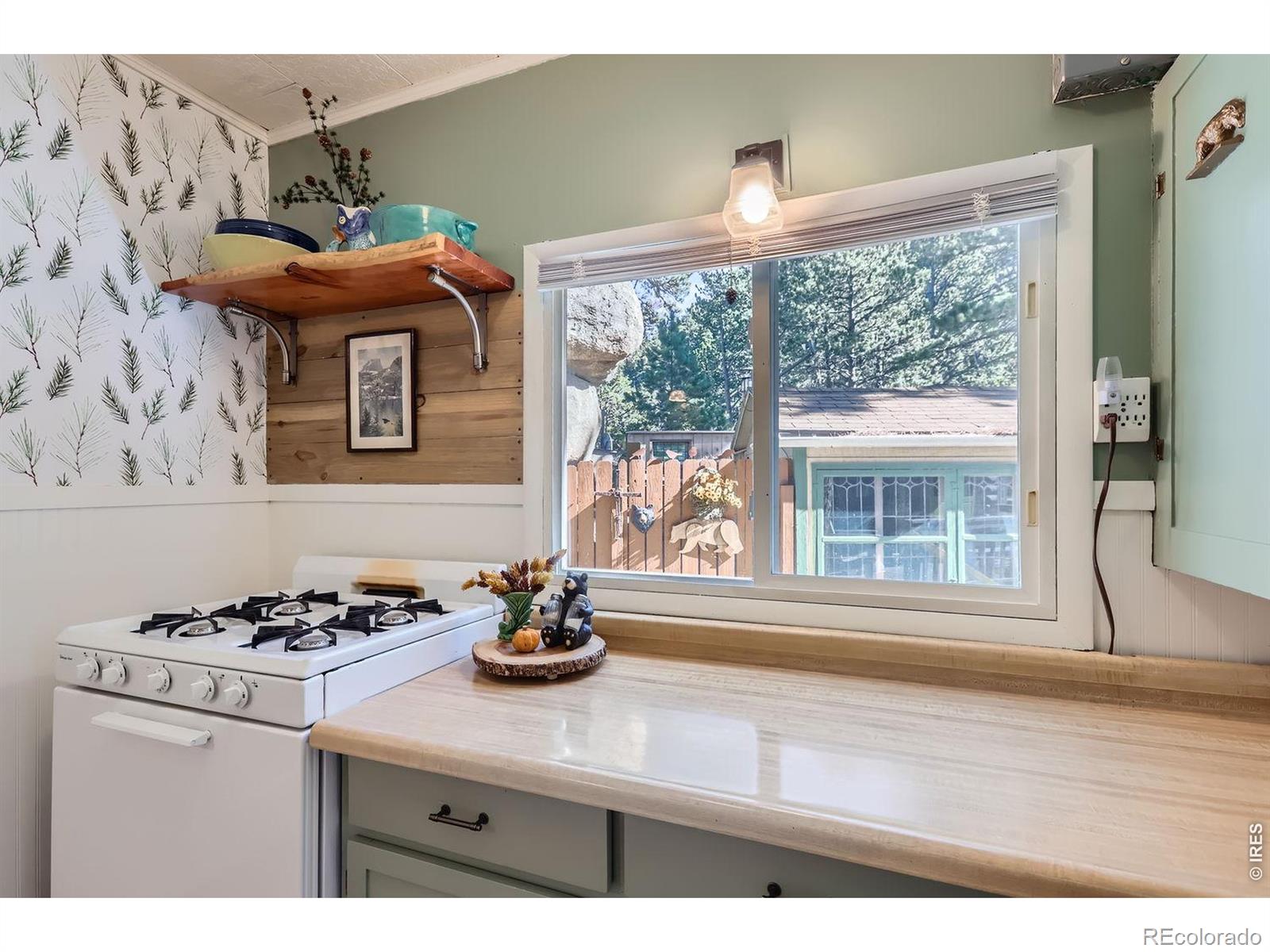 MLS Image #16 for 47  berthoud dale lane,drake, Colorado