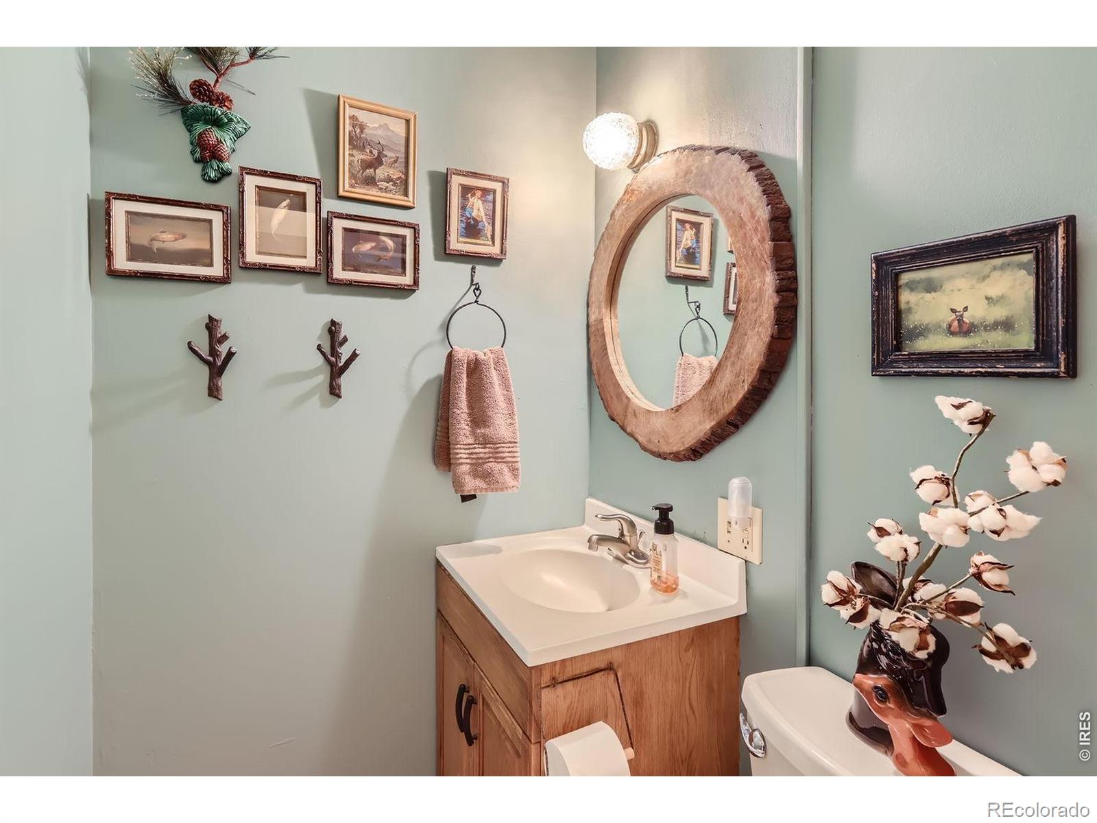 MLS Image #19 for 47  berthoud dale lane,drake, Colorado