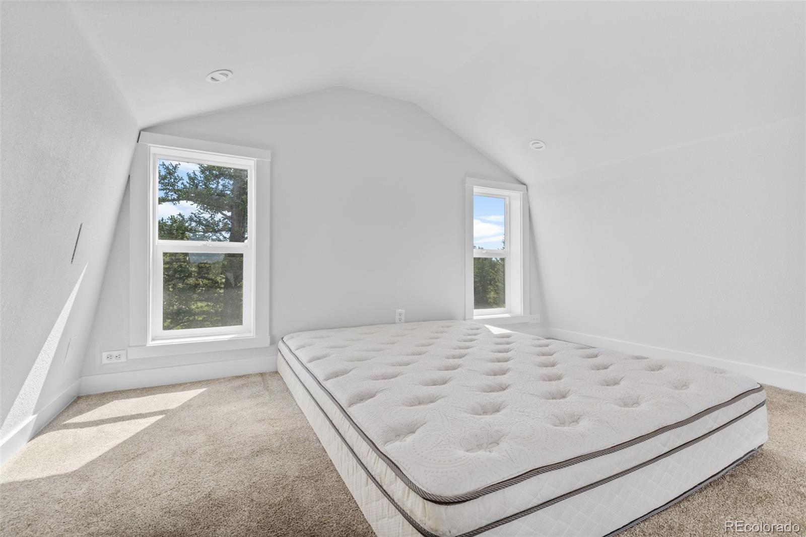 MLS Image #10 for 64  carbine road,jefferson, Colorado