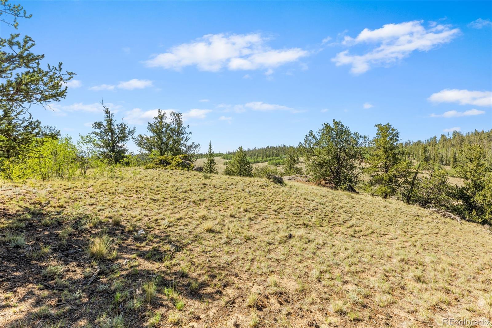MLS Image #15 for 64  carbine road,jefferson, Colorado