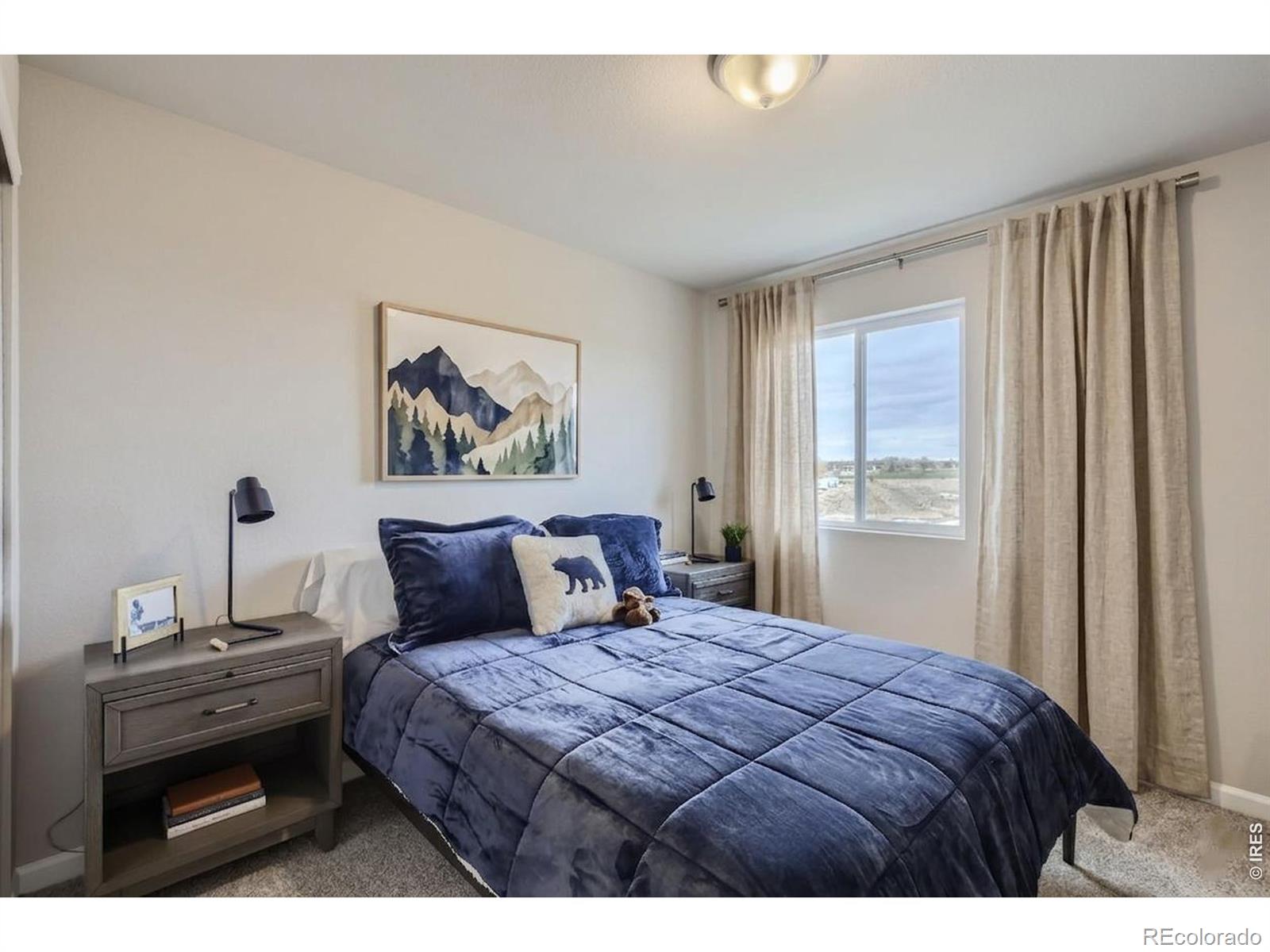 MLS Image #14 for 927  nettle lane,fort collins, Colorado