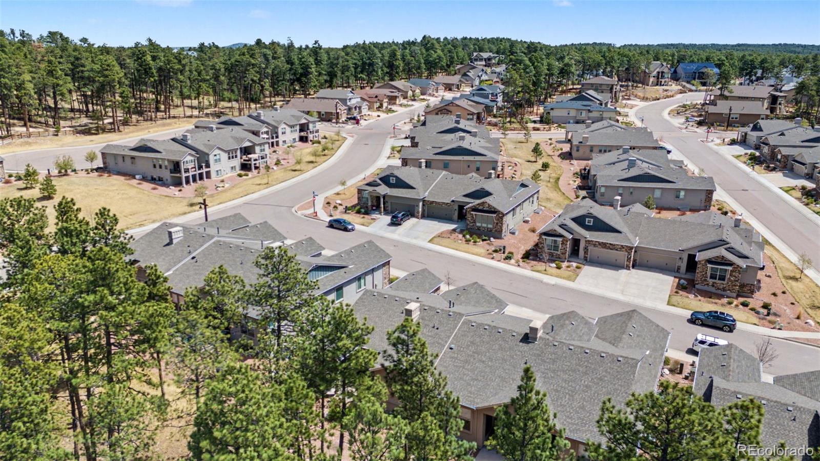 MLS Image #9 for 16464  woodward terrace,monument, Colorado