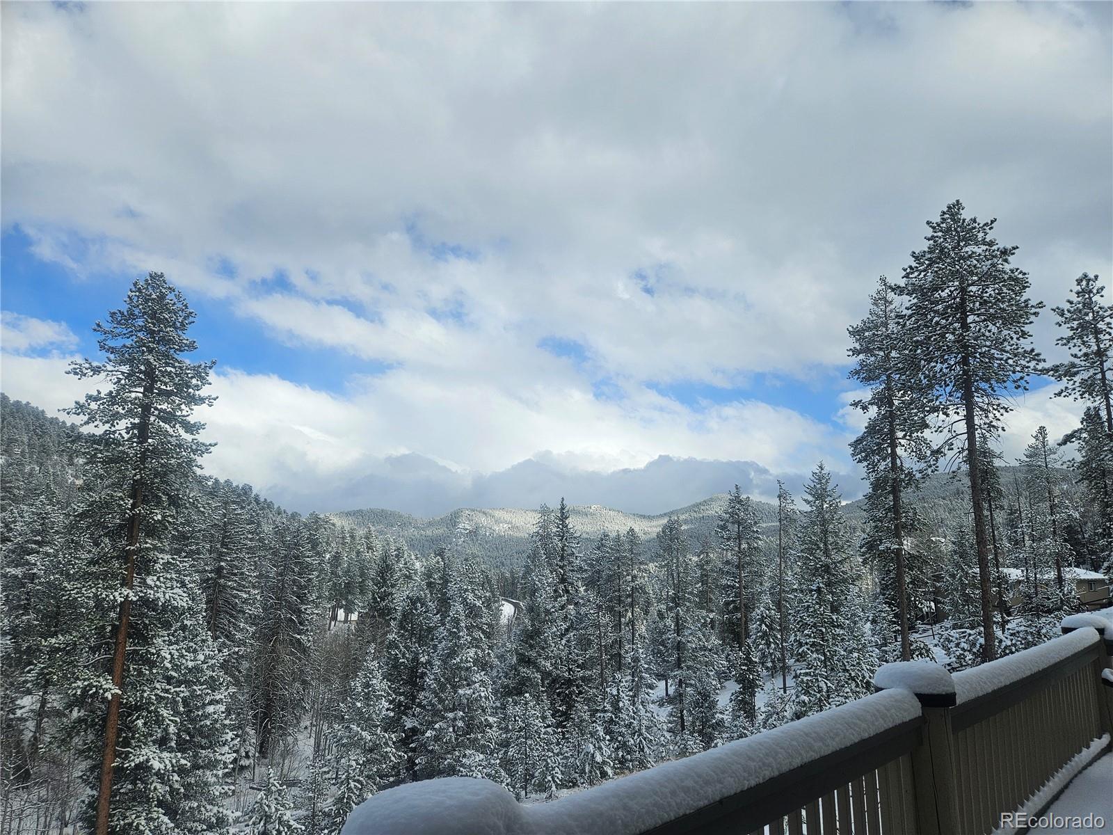 MLS Image #3 for 7291  brook forest drive,evergreen, Colorado