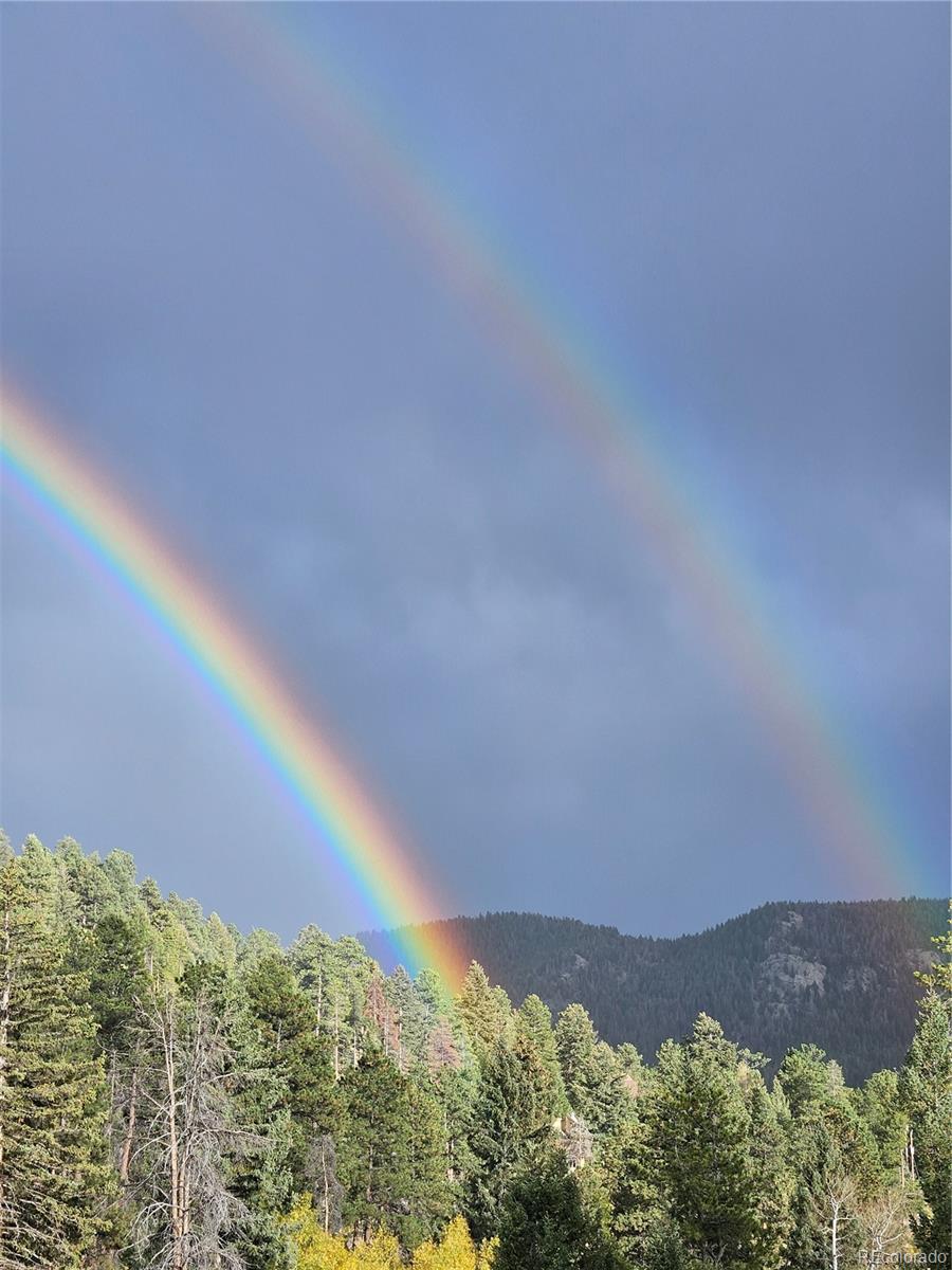 MLS Image #35 for 7291  brook forest drive,evergreen, Colorado
