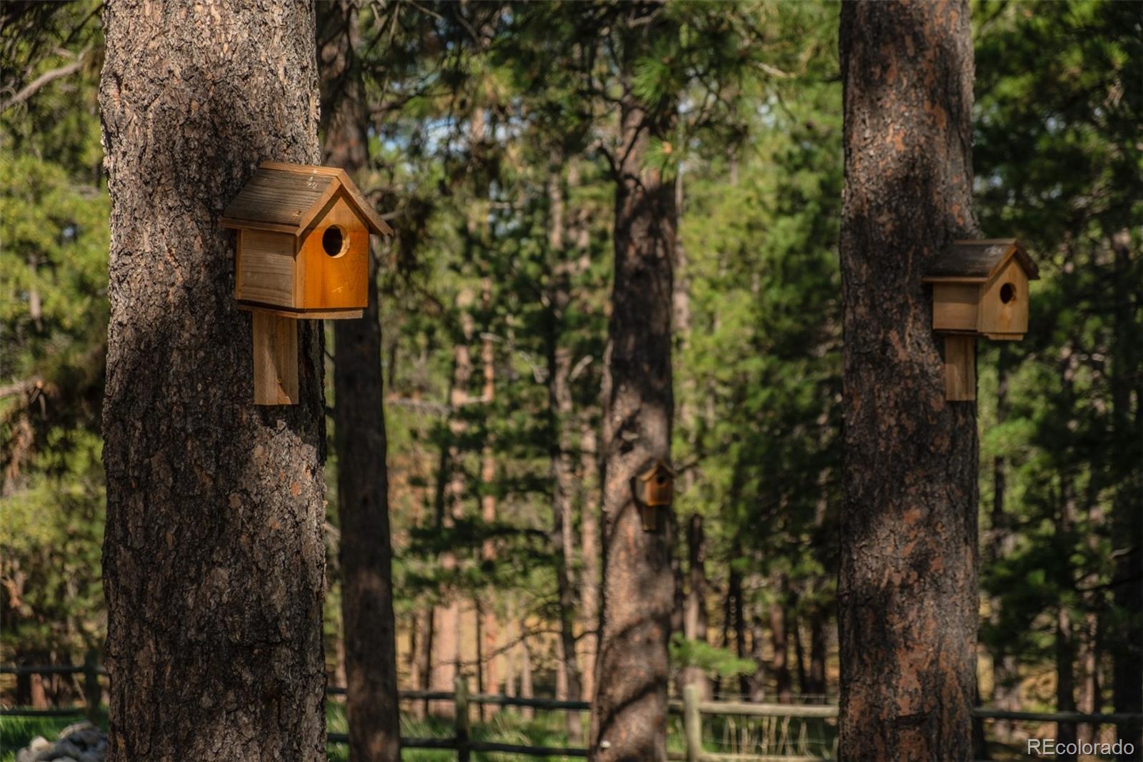 MLS Image #24 for 33443  county road 21 ,elizabeth, Colorado