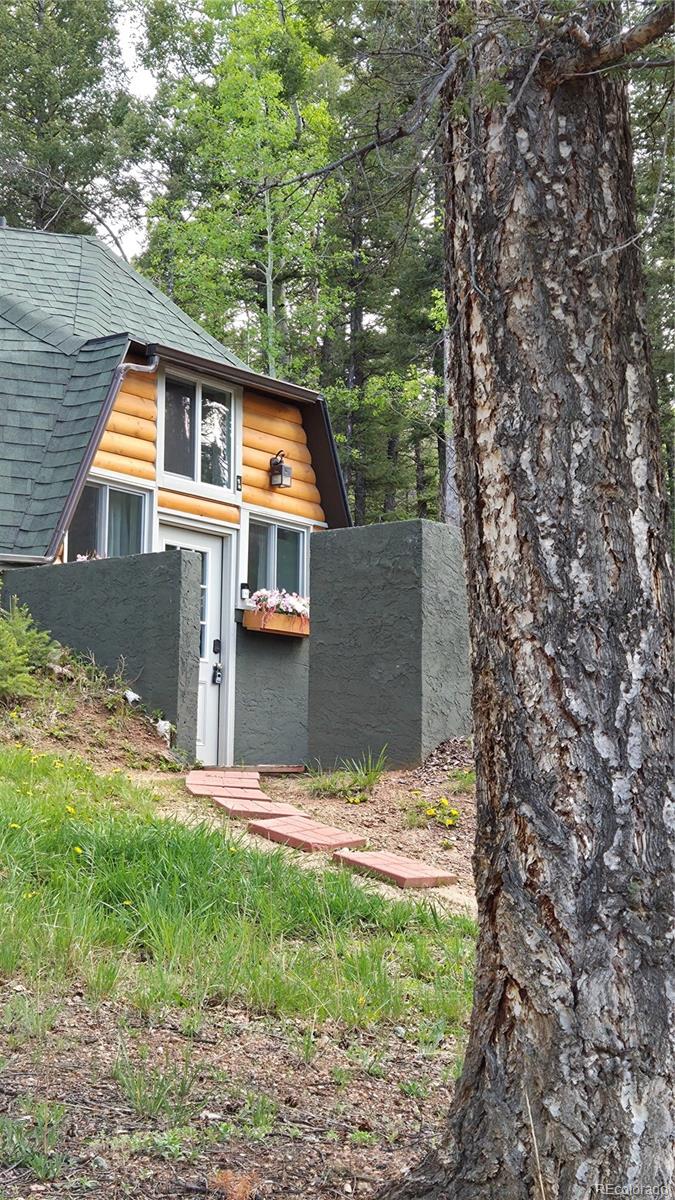 MLS Image #2 for 776  jolly rogue drive,divide, Colorado