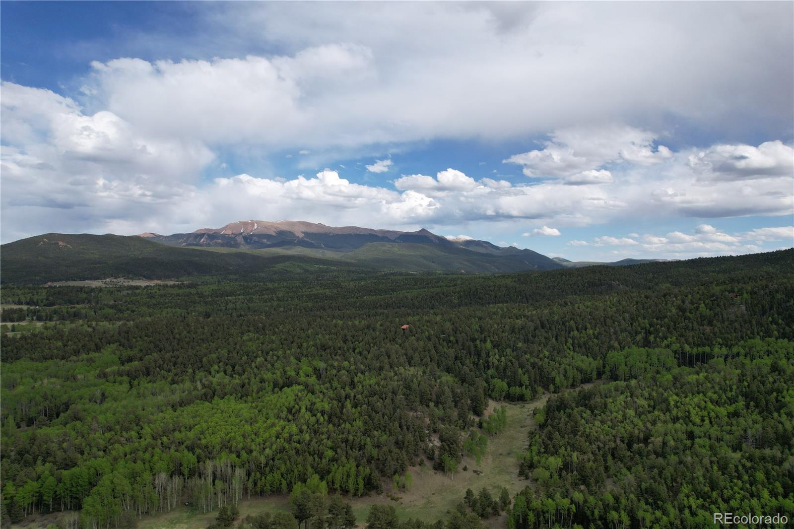 MLS Image #25 for 776  jolly rogue drive,divide, Colorado