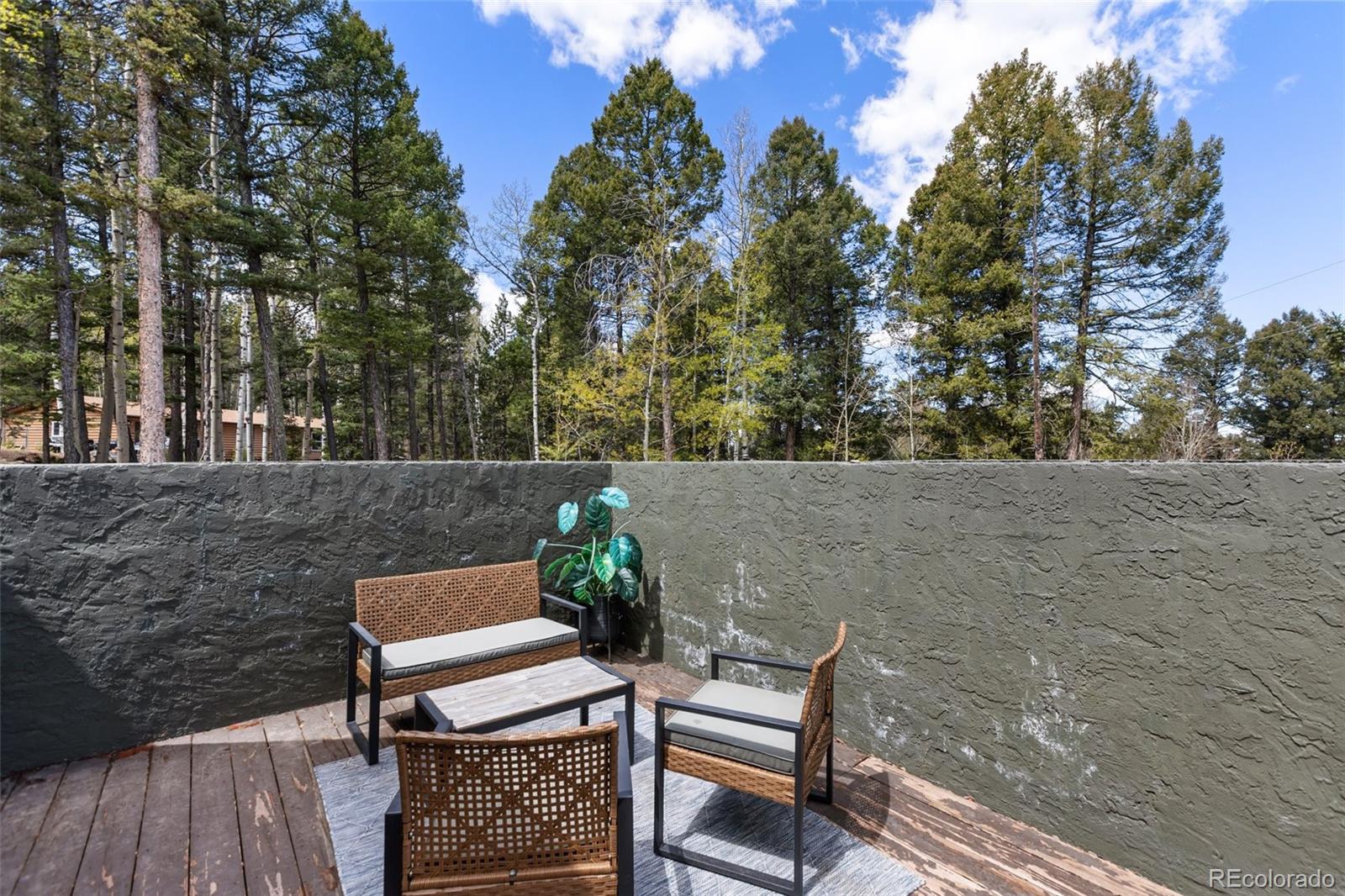 MLS Image #31 for 776  jolly rogue drive,divide, Colorado