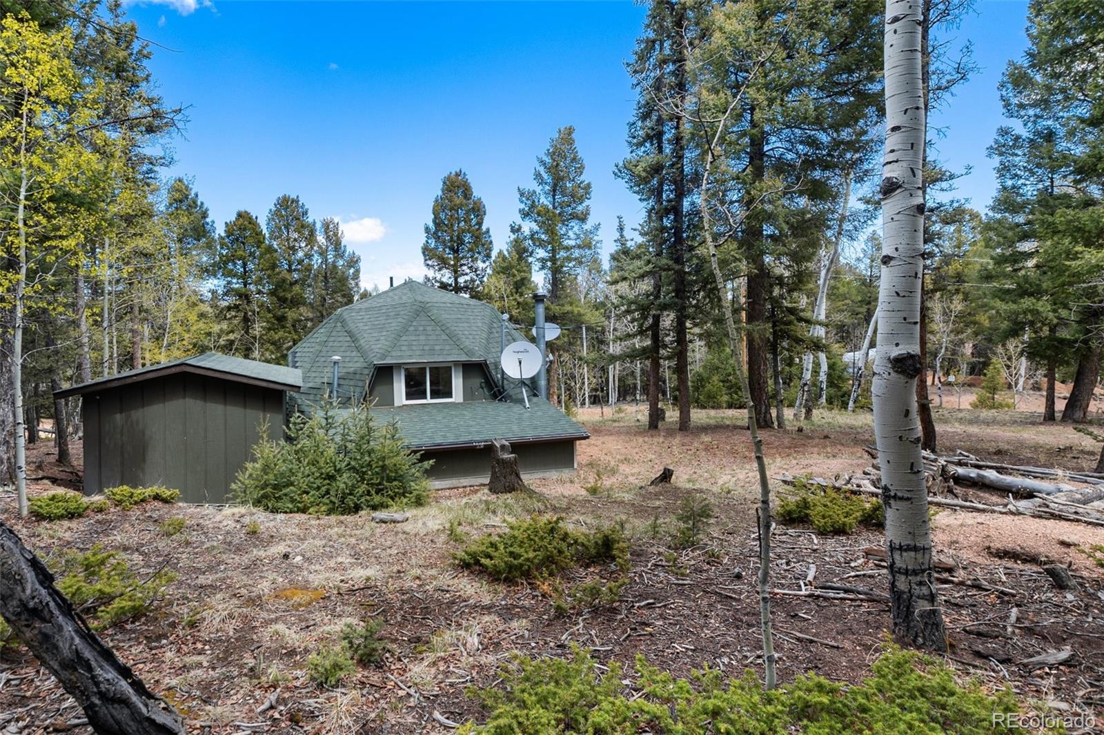 MLS Image #5 for 776  jolly rogue drive,divide, Colorado