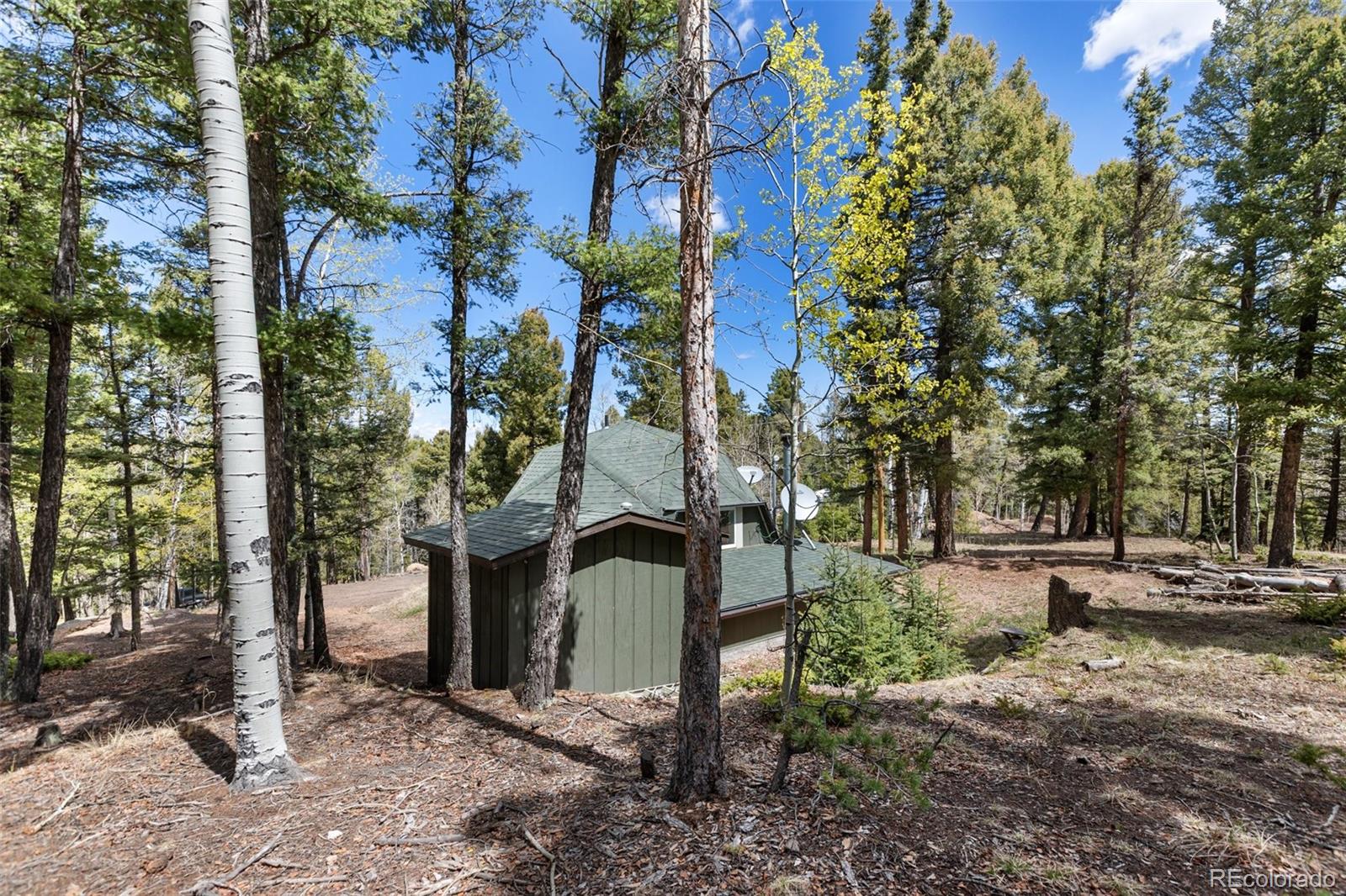 MLS Image #6 for 776  jolly rogue drive,divide, Colorado