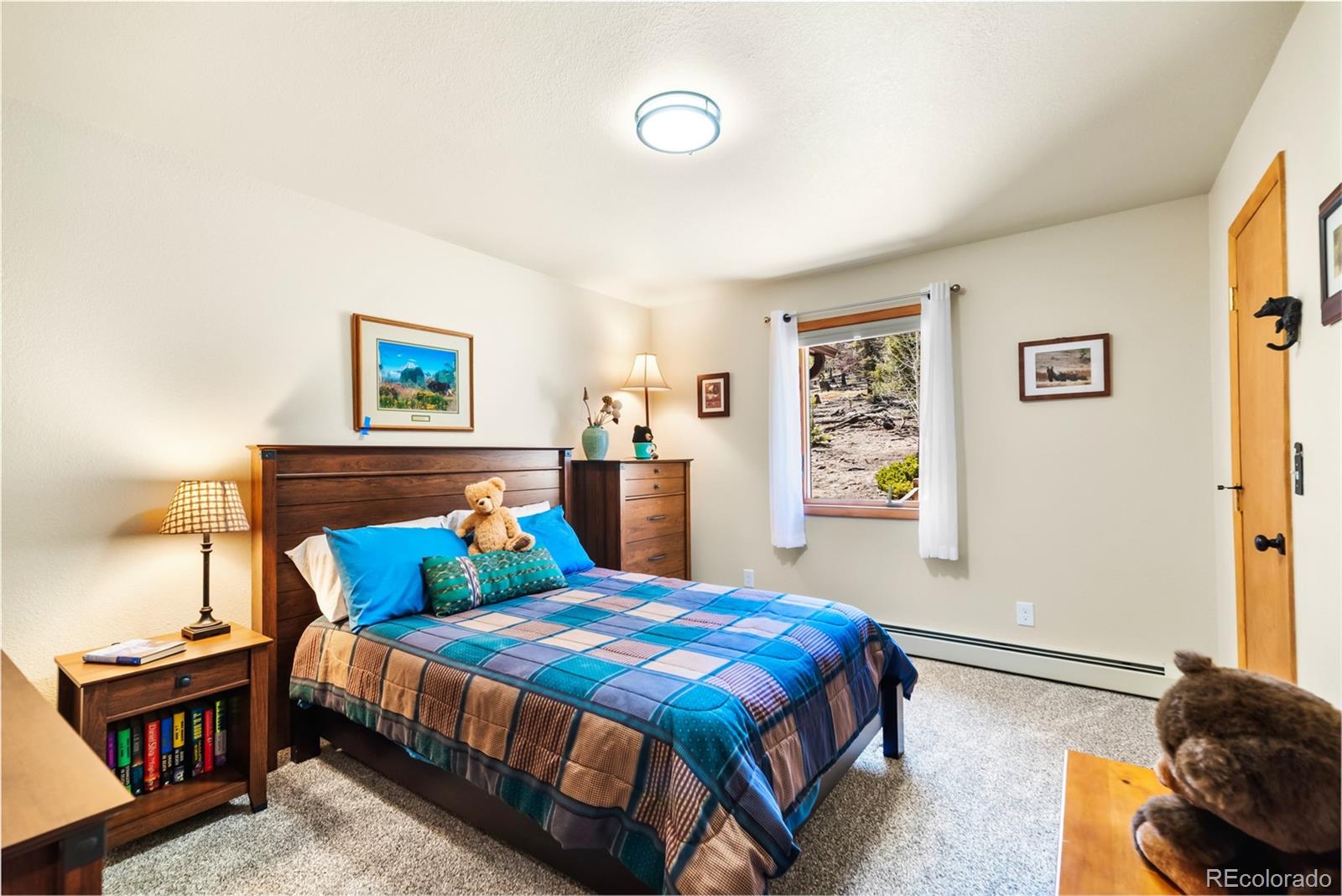 MLS Image #22 for 4091  singletree road,hartsel, Colorado