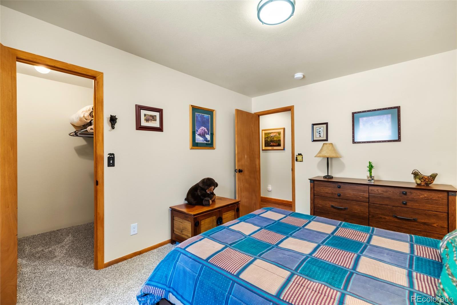 MLS Image #23 for 4091  singletree road,hartsel, Colorado