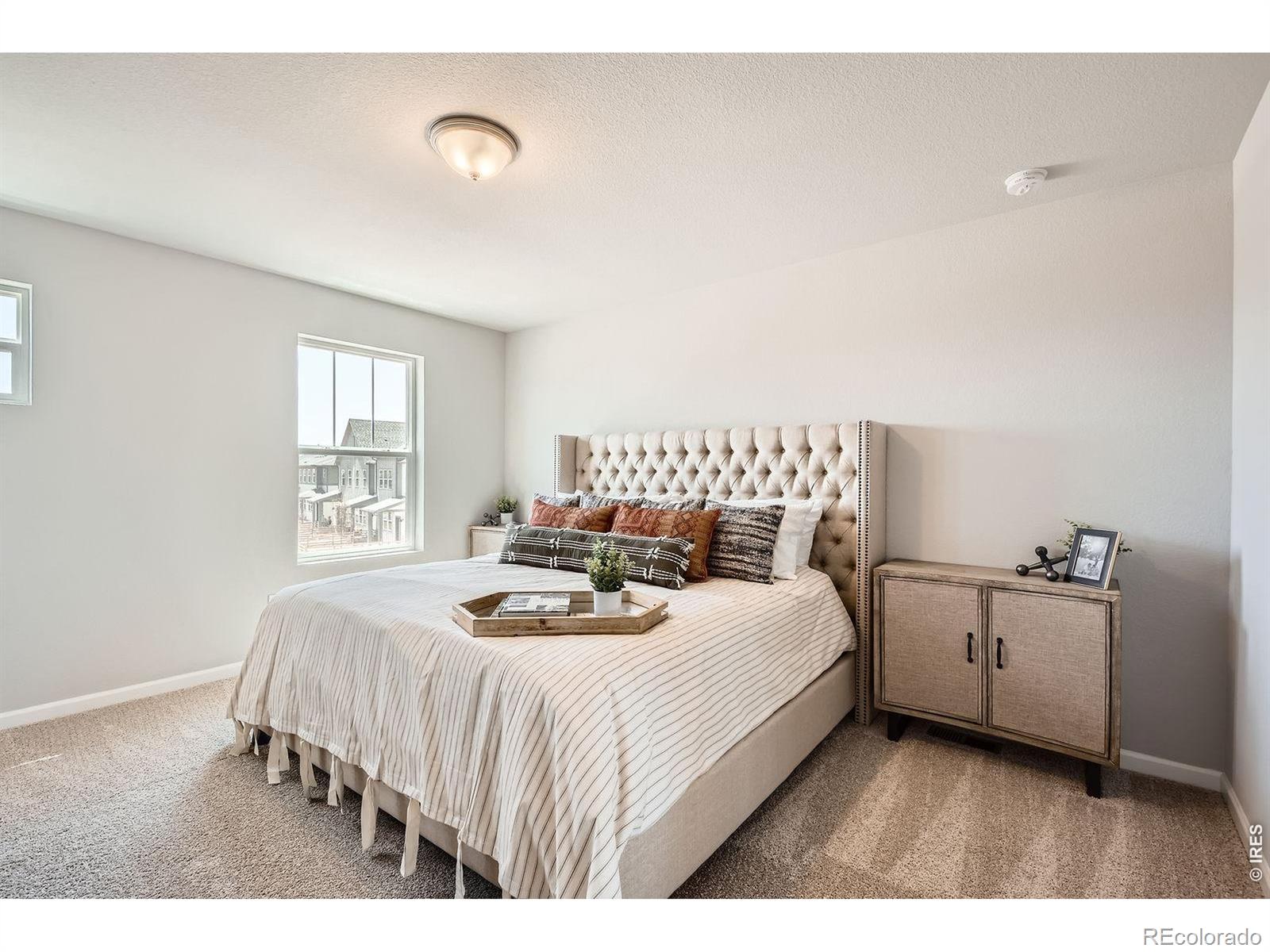 MLS Image #14 for 2575  violet cress lane,fort collins, Colorado