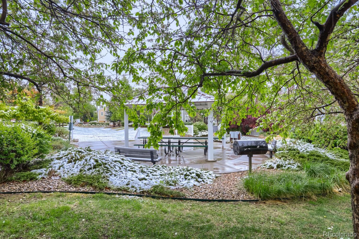 MLS Image #28 for 2131  grays peak drive,loveland, Colorado