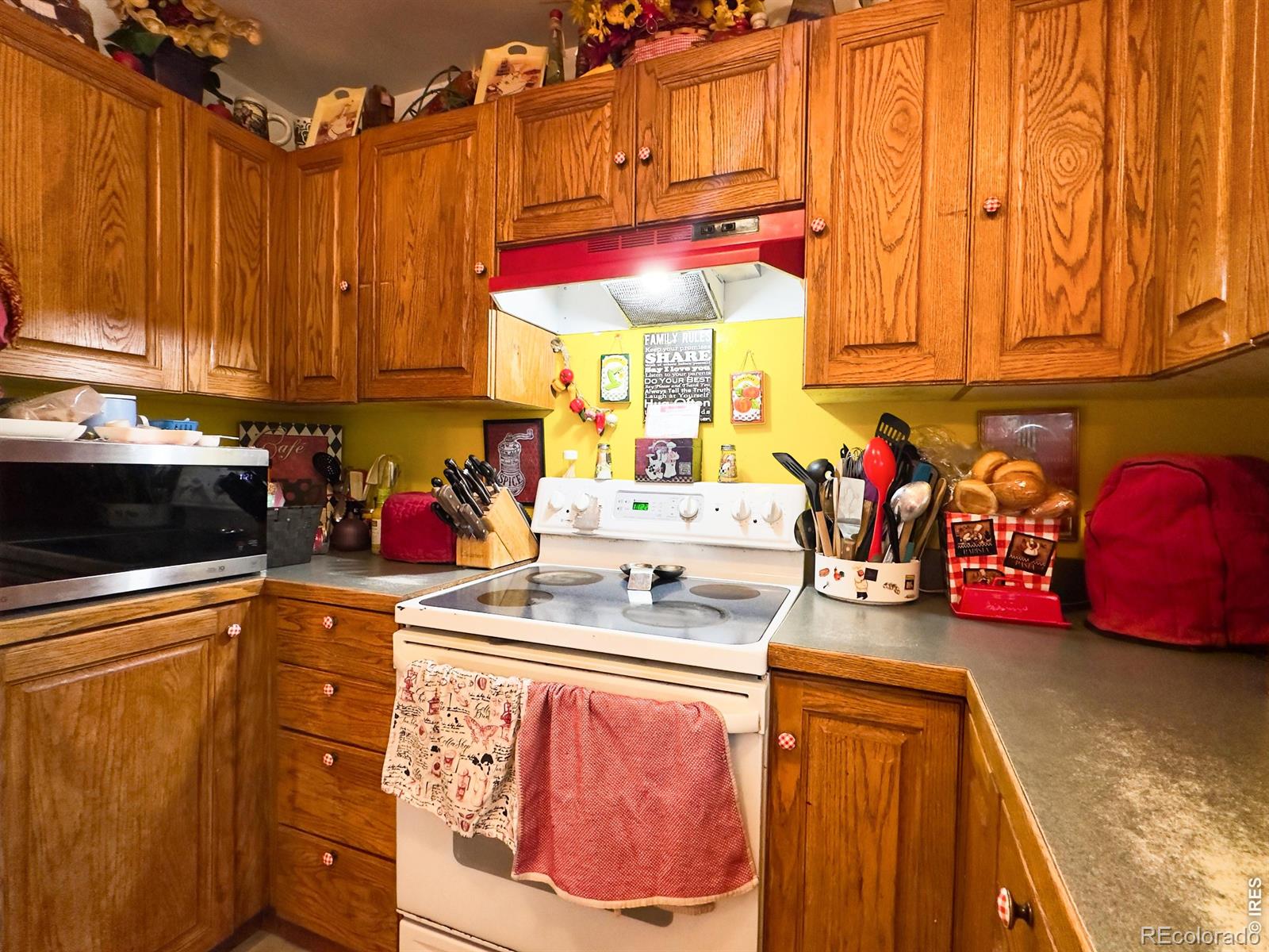 MLS Image #10 for 4409  julian court,fort collins, Colorado