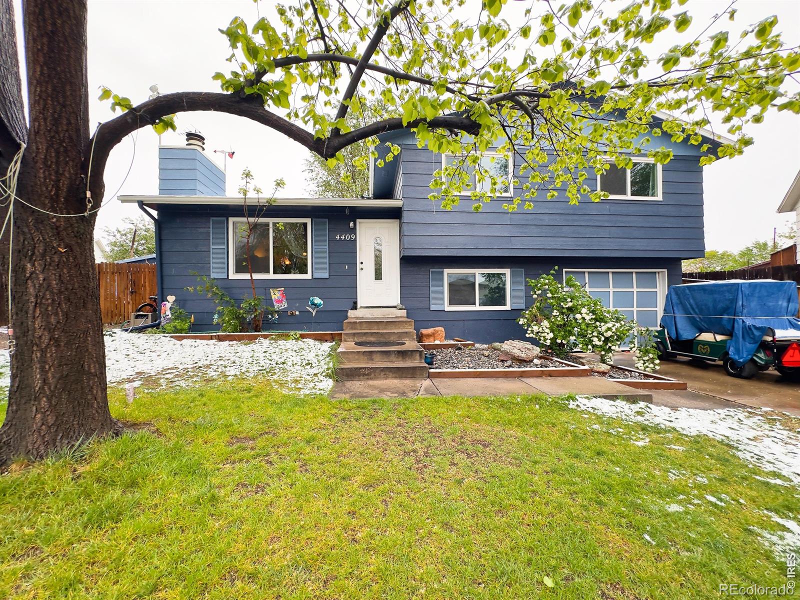 MLS Image #2 for 4409  julian court,fort collins, Colorado