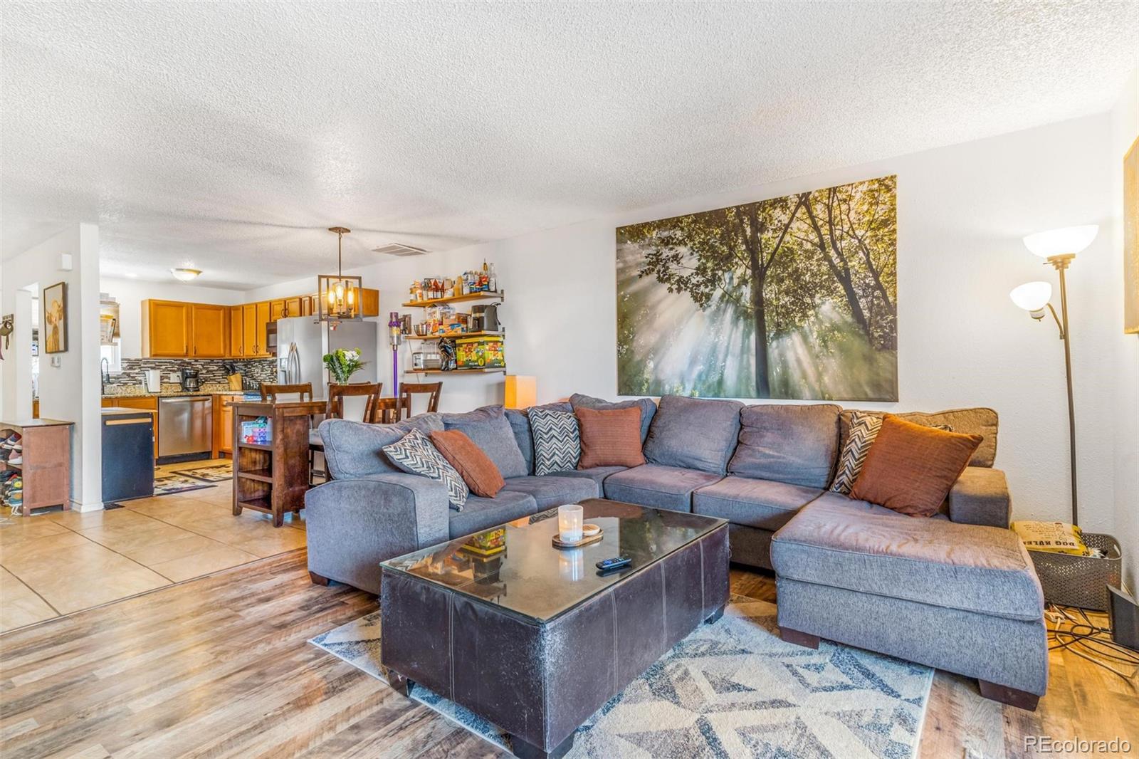 MLS Image #2 for 2279  coronado parkway,denver, Colorado
