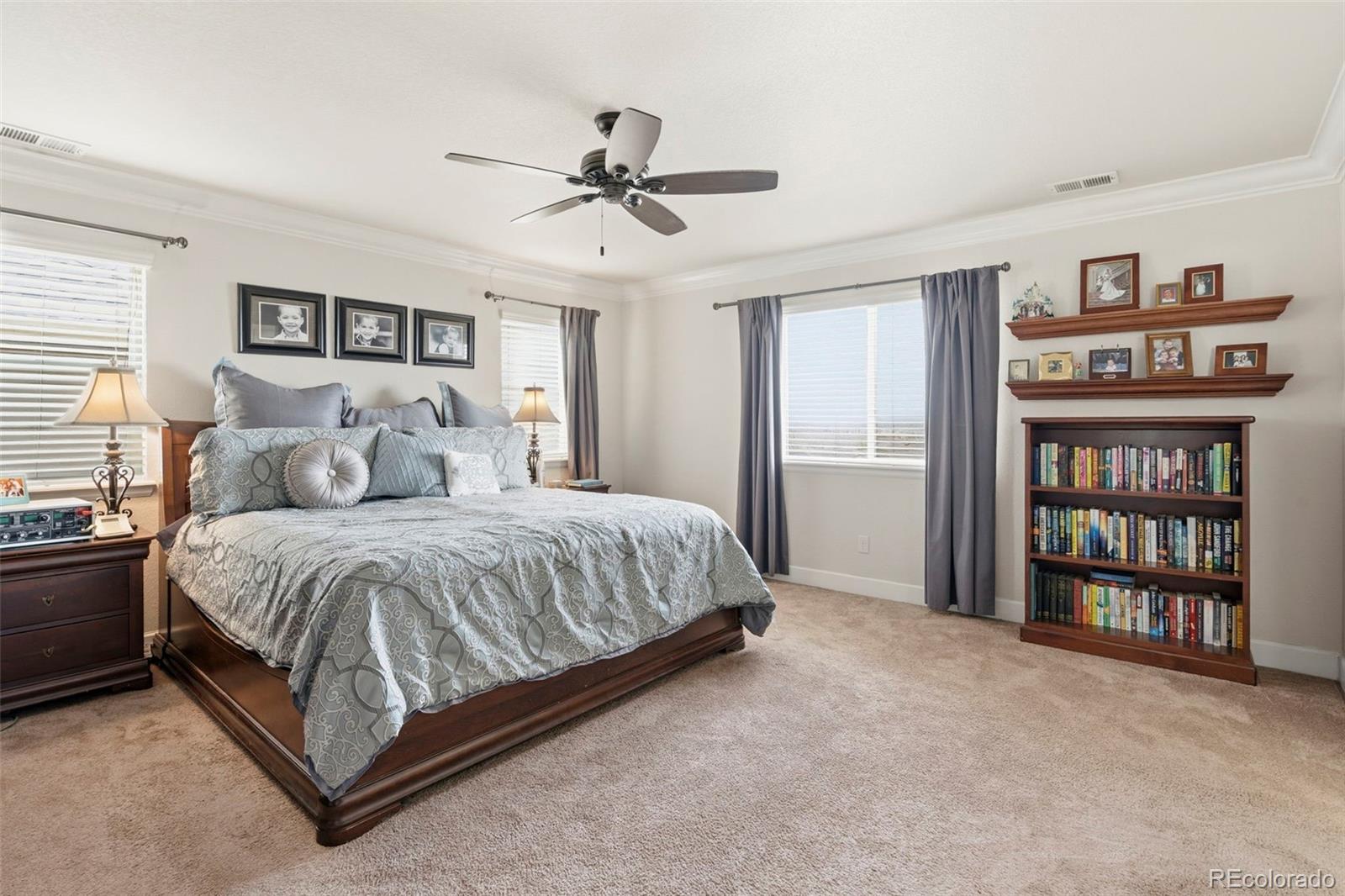 MLS Image #27 for 7359  blue water drive,castle rock, Colorado