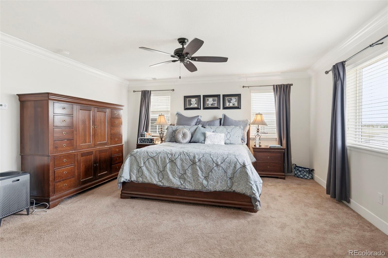 MLS Image #28 for 7359  blue water drive,castle rock, Colorado