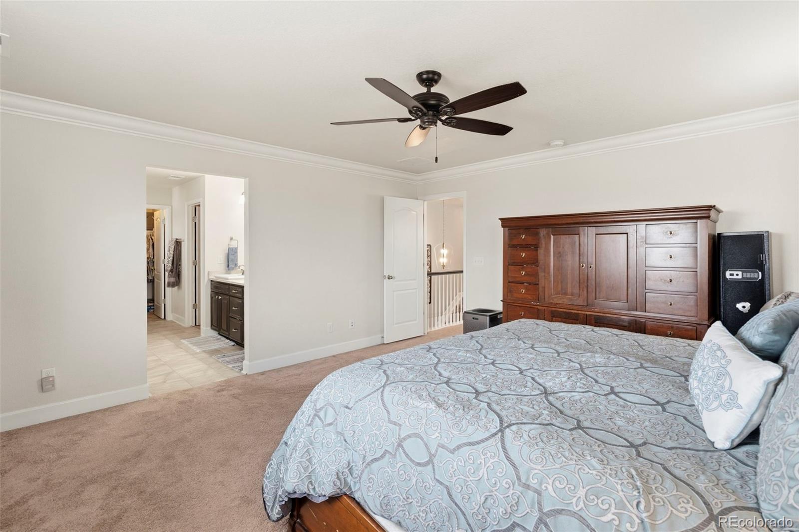MLS Image #29 for 7359  blue water drive,castle rock, Colorado