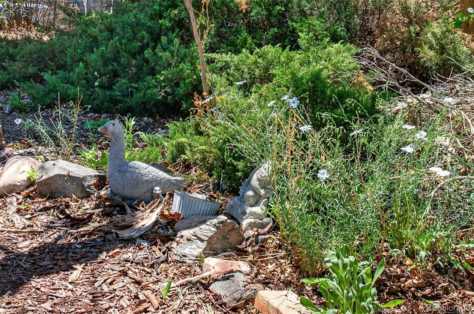 MLS Image #44 for 7488 s teller street,littleton, Colorado