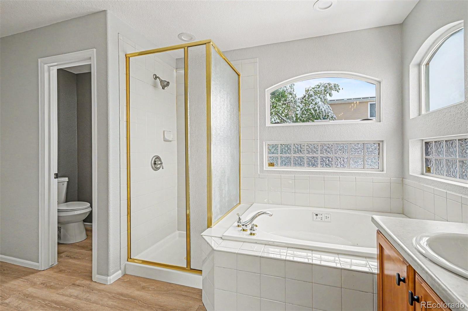 MLS Image #18 for 20734 e 49th avenue,denver, Colorado
