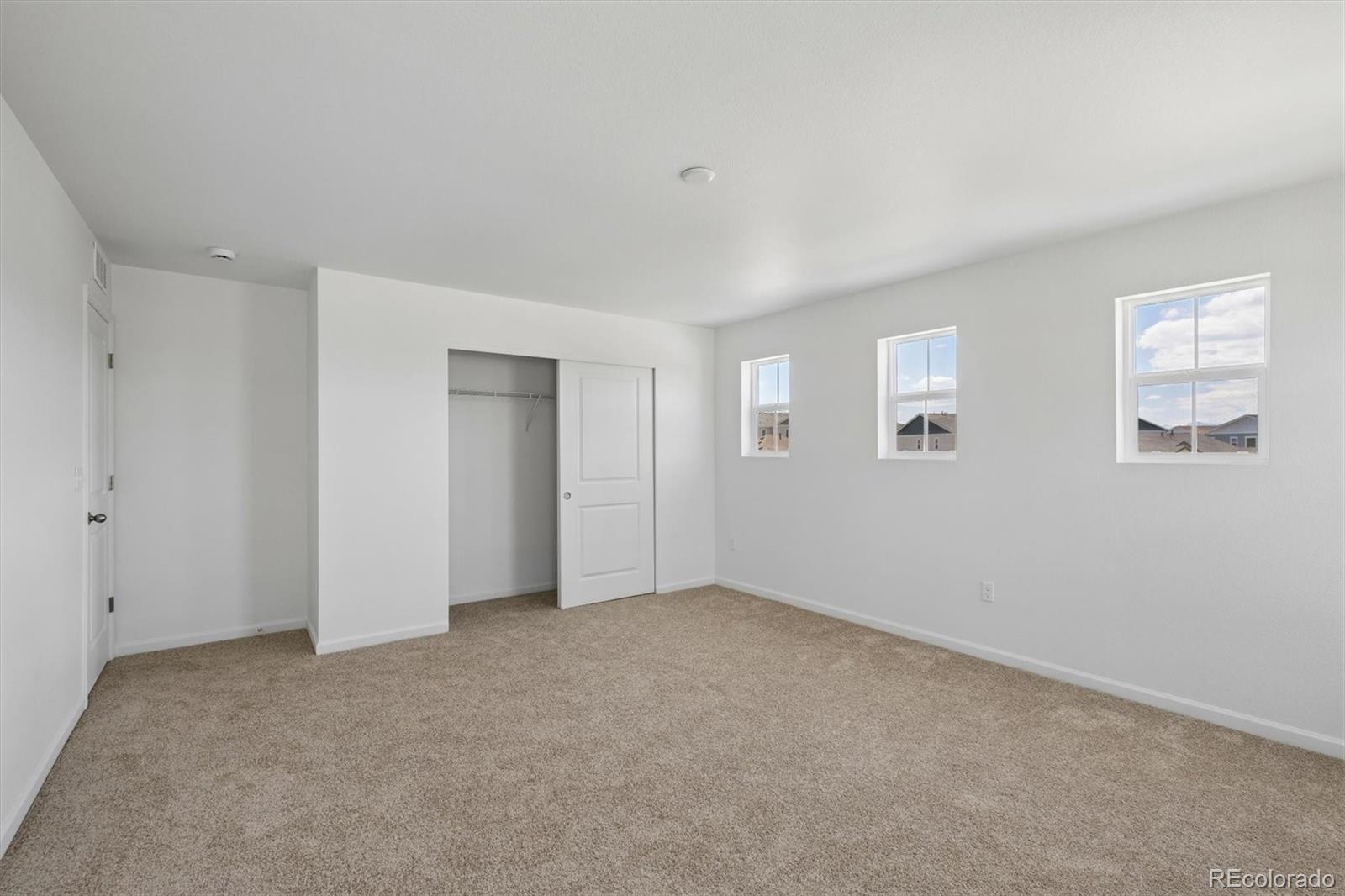 MLS Image #10 for 6413  ankina drive,windsor, Colorado