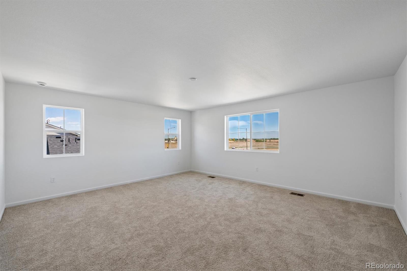 MLS Image #15 for 6413  ankina drive,windsor, Colorado