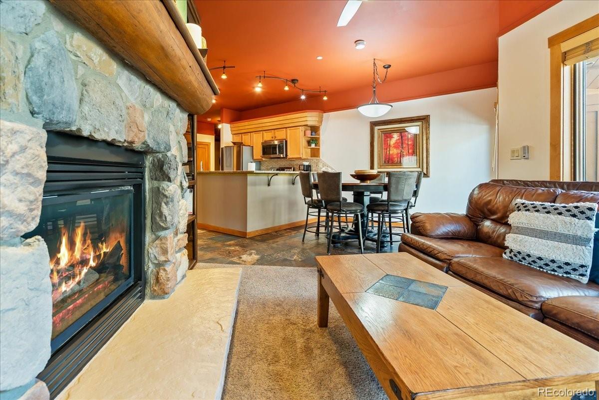 MLS Image #14 for 91  river run road,dillon, Colorado