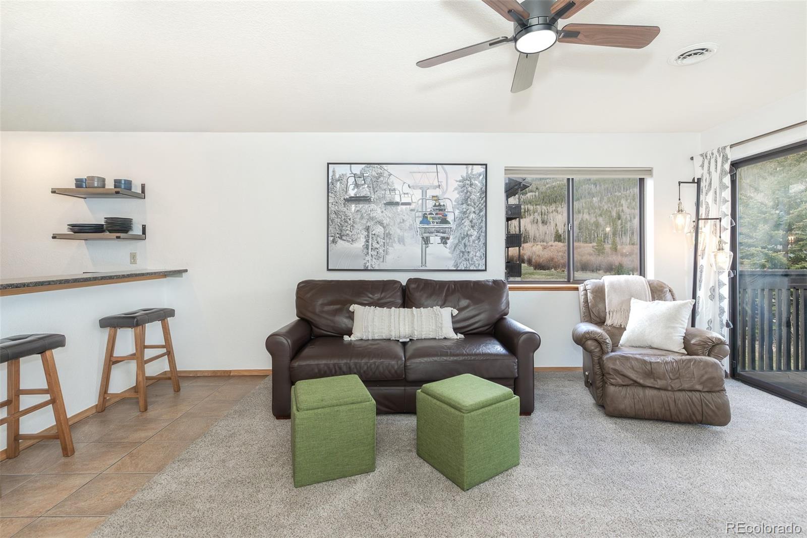 MLS Image #16 for 715 s 5th avenue,frisco, Colorado